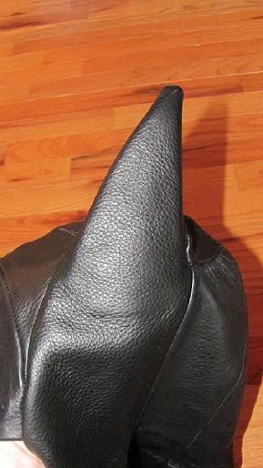 Ear01.JPG